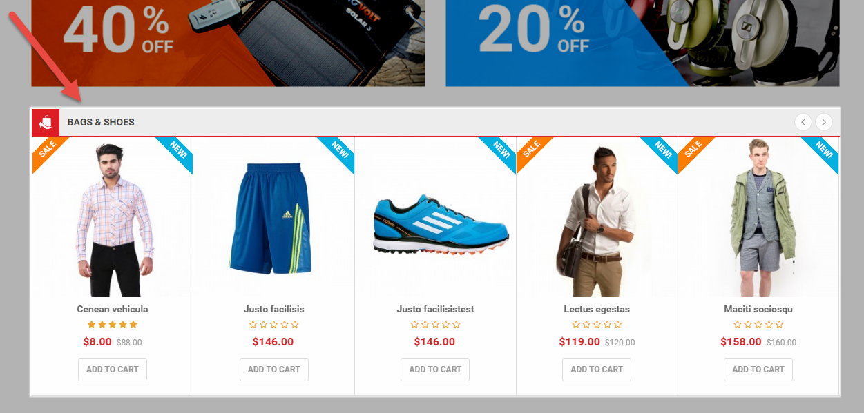 bags-shoes-frontend