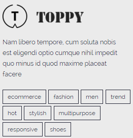 Footer About Us Frontend