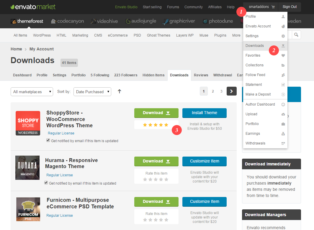 Rate an item on Themeforest