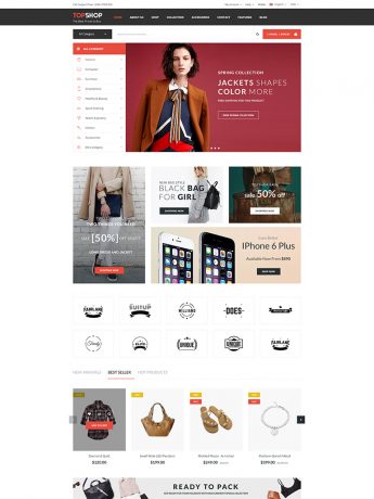 TopShop-WordPress Theme